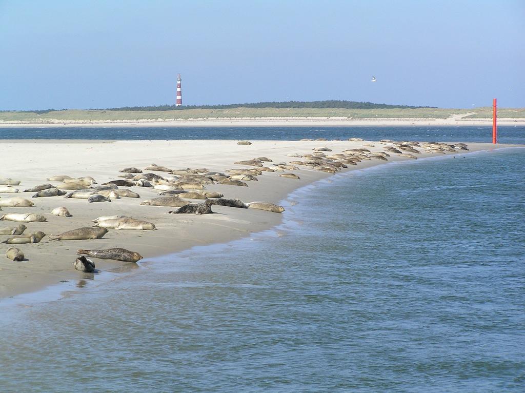 Albergue Sier Aan Zee Hollum  Exterior foto